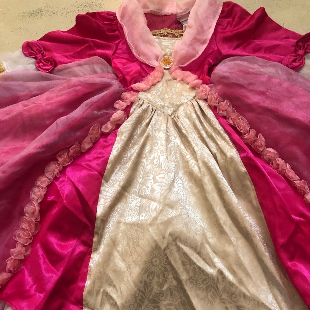 Disney Deluxe Sleeping Beauty Aurora Costume